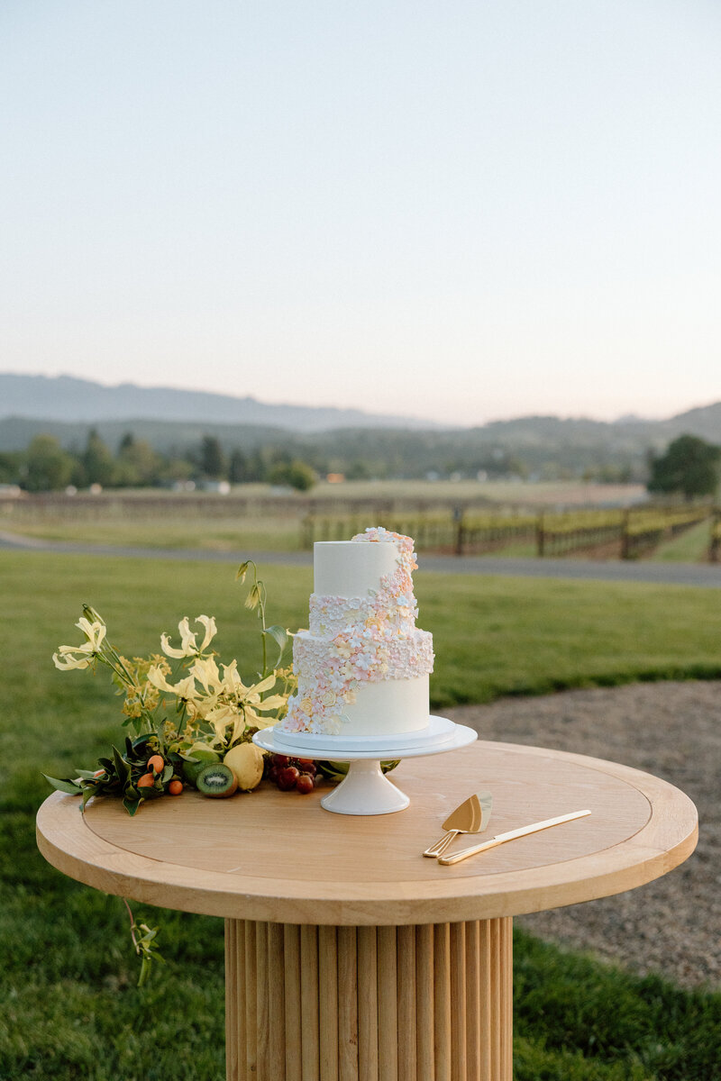 Katelyn Bradley Photography | Chatuea St Jean Napa Wedding266