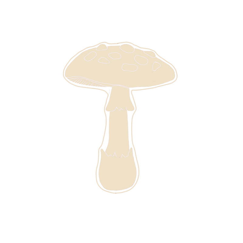 tan illustration of a mushroom with a speckled top