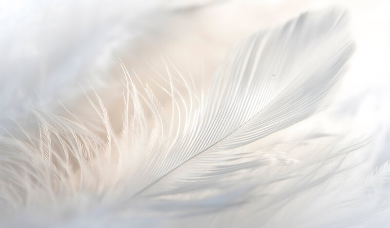 AdobeStock_918509960