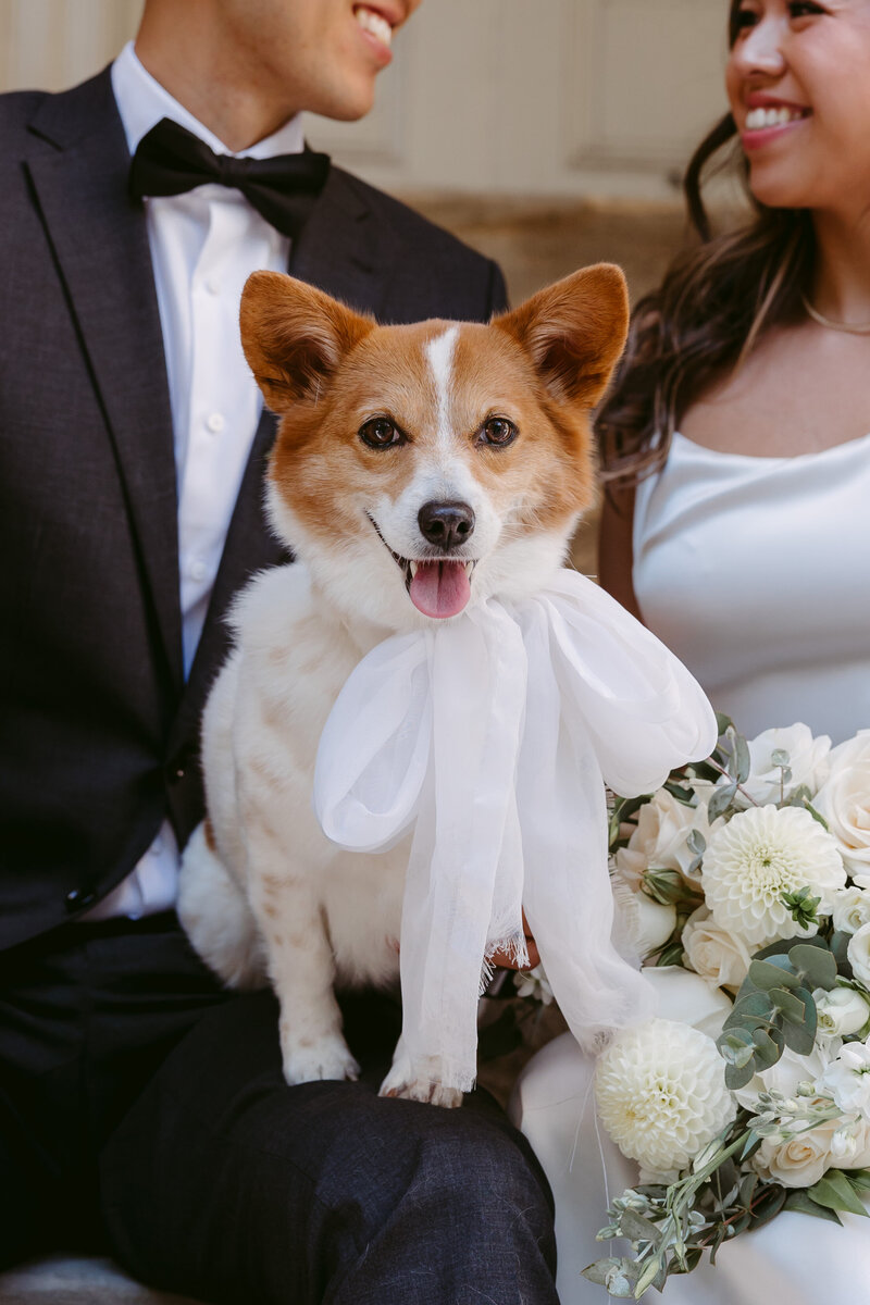 Jenny+Derek_DanicaOlivaPhotos_560