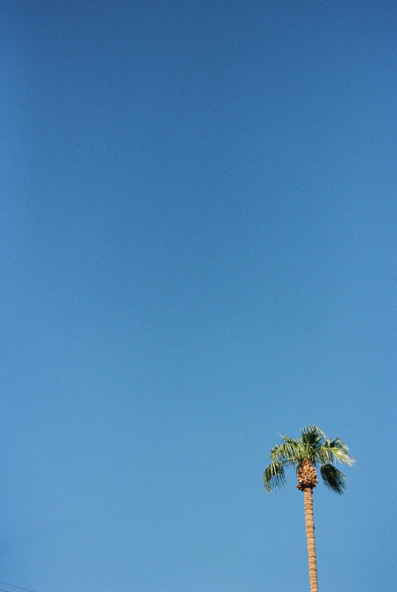 36471_03