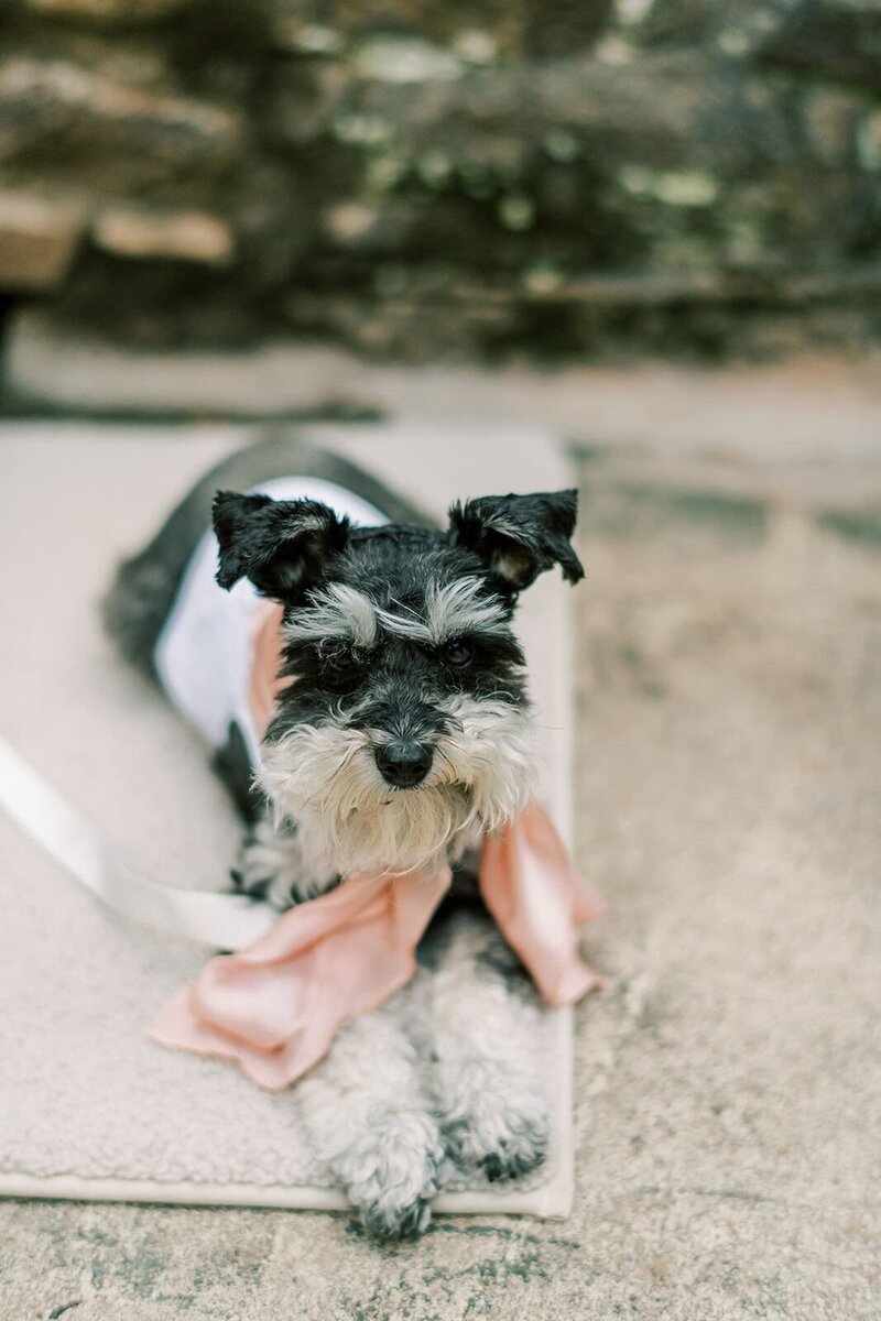 Douglas Ellington House Asheville Wedding Photographer (68)