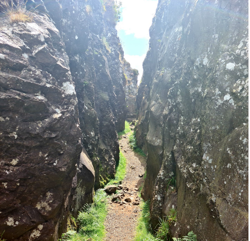 Screenshot 2025-10-29 09.07.43