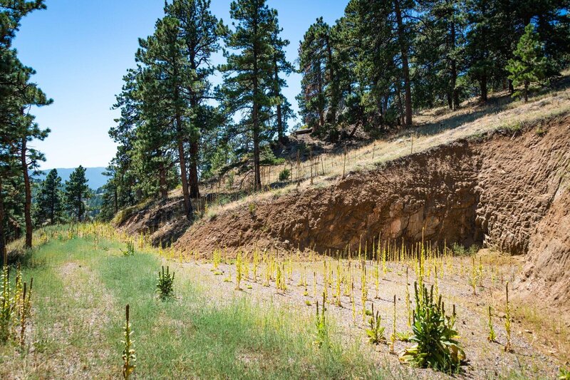 1440 S Lininger Dr-019-056-Land-MLS_Size