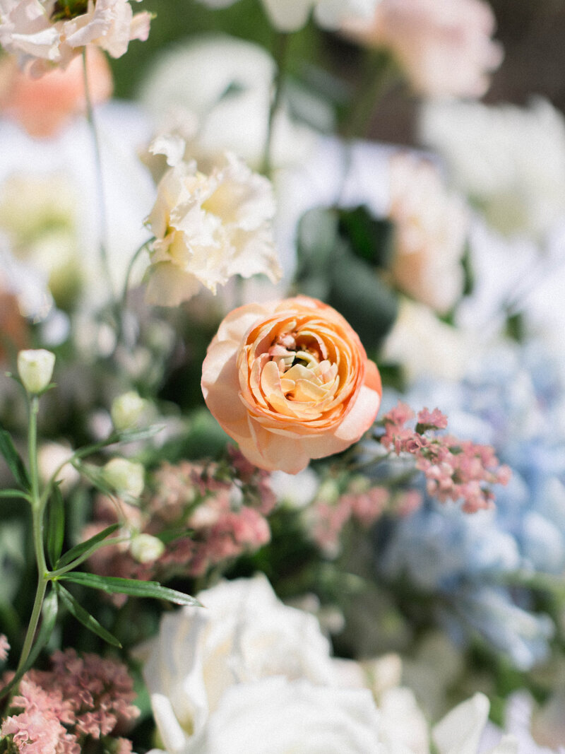 Meredith and Corbin - Tay Danay Photography - #-26
