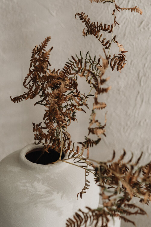 váza s uschlou větvičkou kapradí