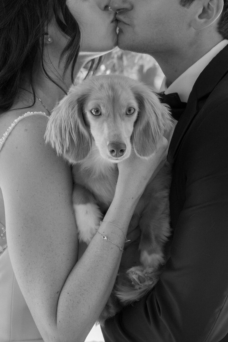 Malaya Images - Emma and Mac 053125 (425 of 1209)_websize