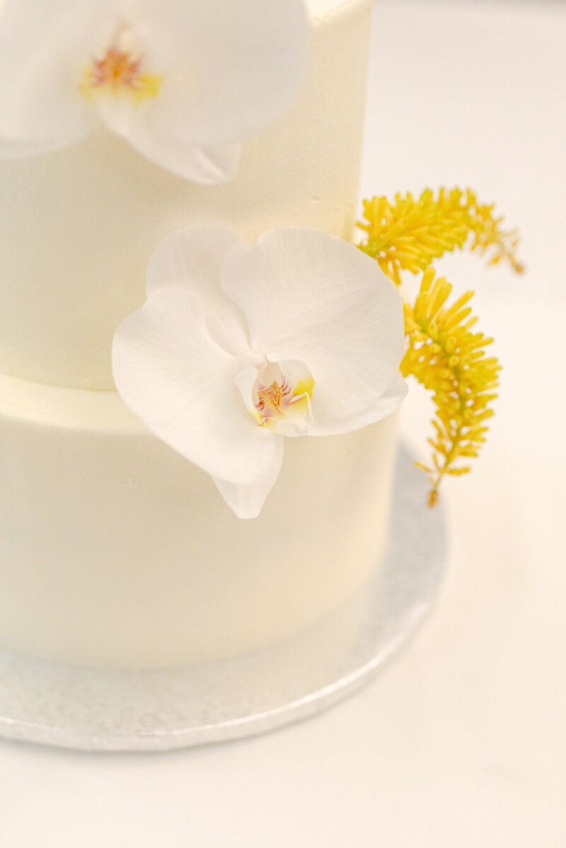 D+M_oponice_web-621