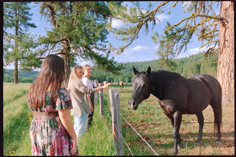 Jess-Buckley-Wedding-Photo-Idaho-Ranch-79