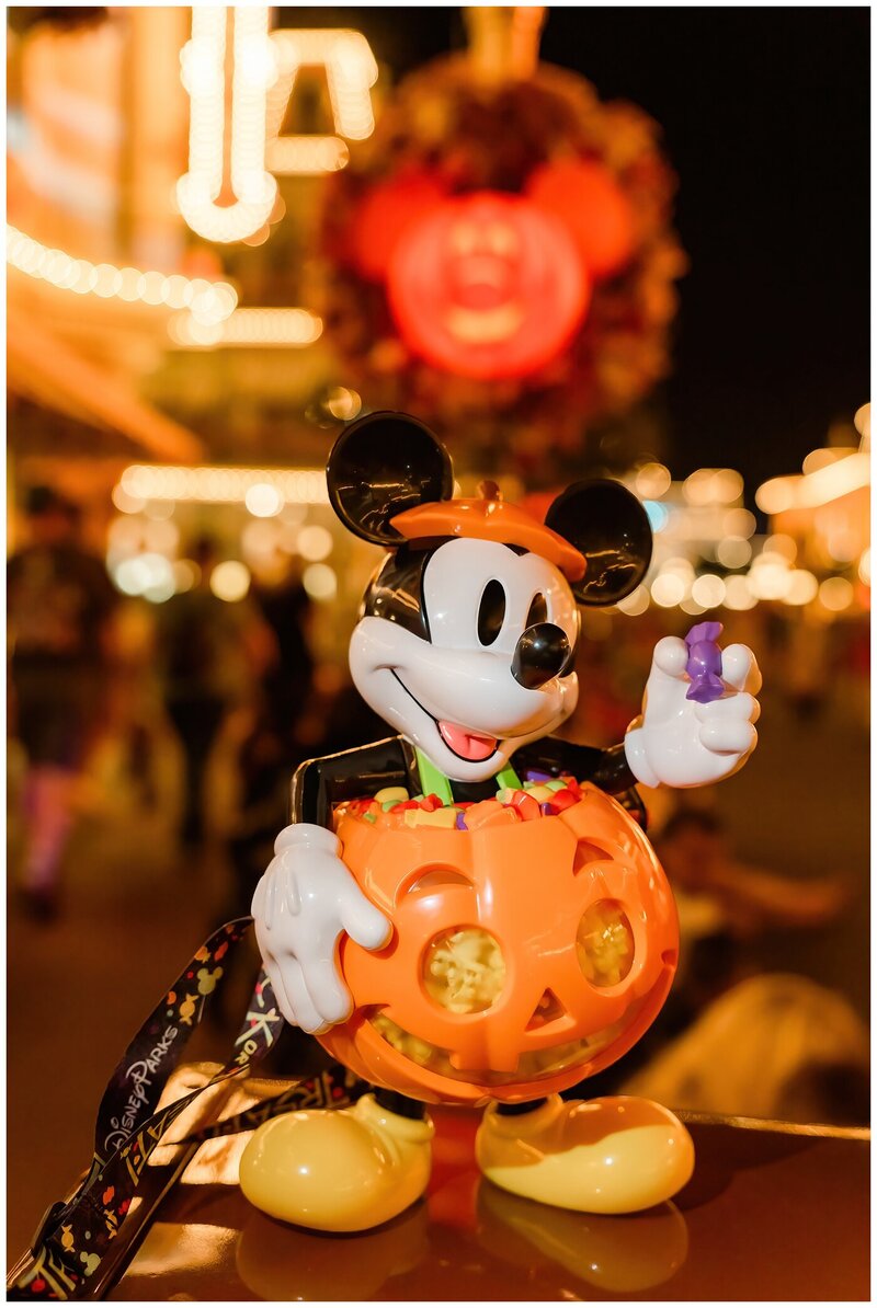 Disney Stock Photos_0287