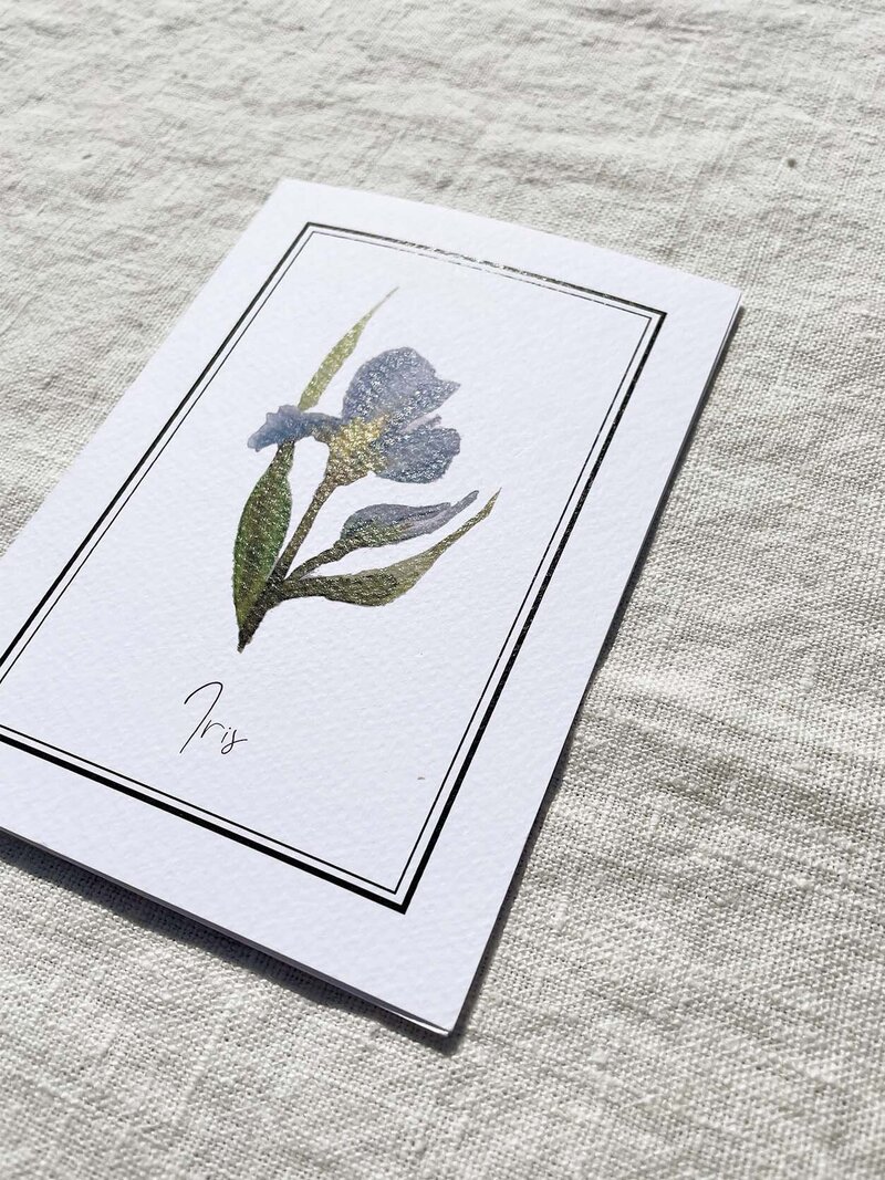 Iris