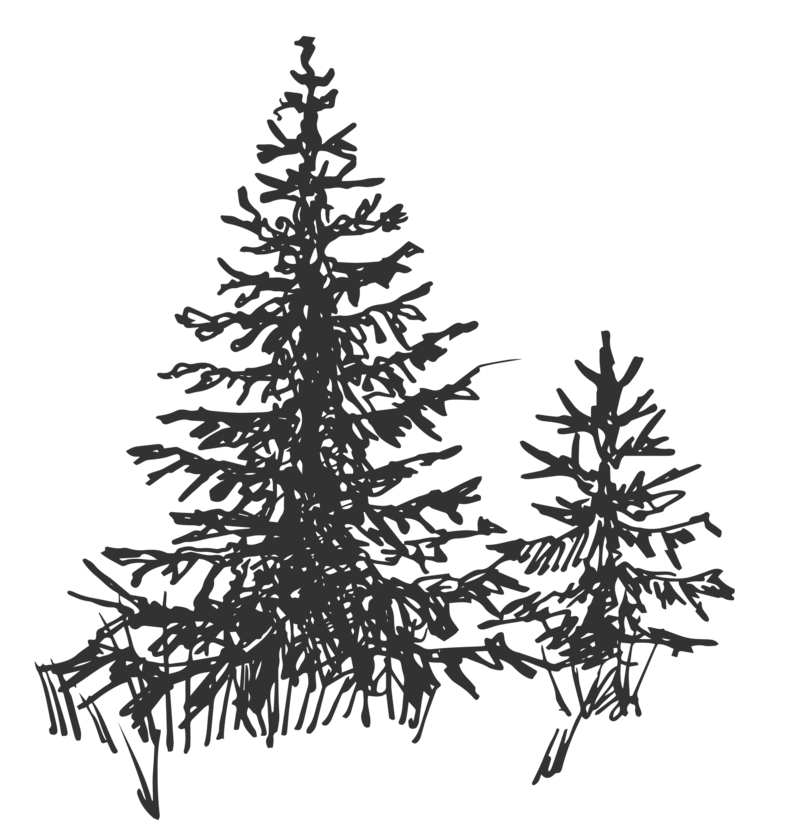 illustration of trees