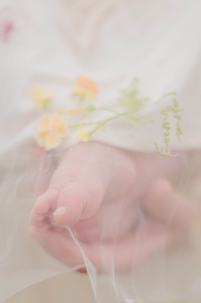 Pittsburgh-Family-Photographer-LLP-127