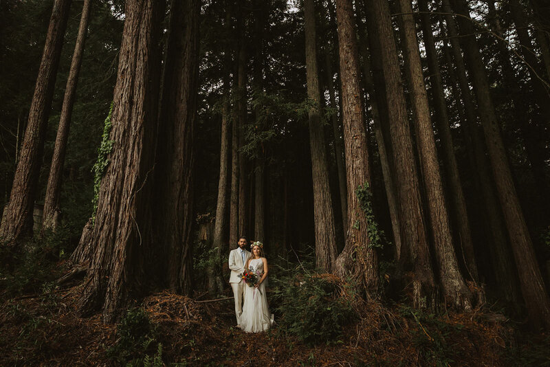 couple embracing in forest