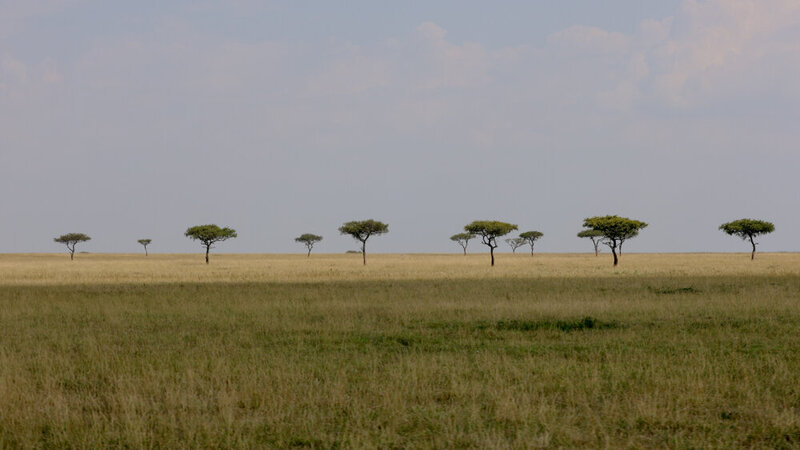 safariedited-414