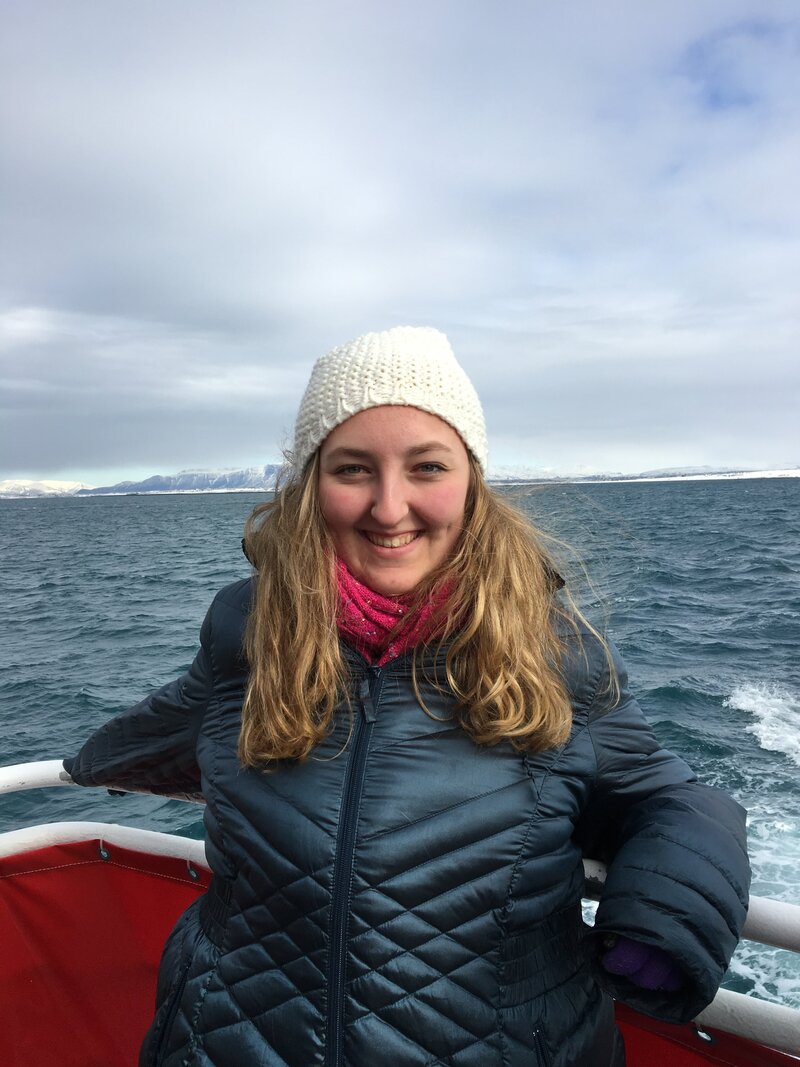 iceland 2016 5