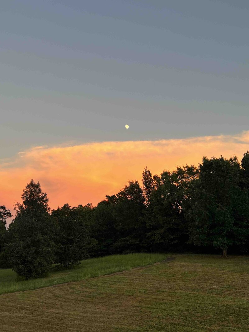 Golden Moon