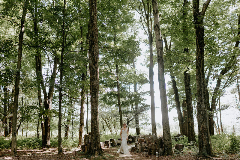 Kaitlyn&DavidWedding-135