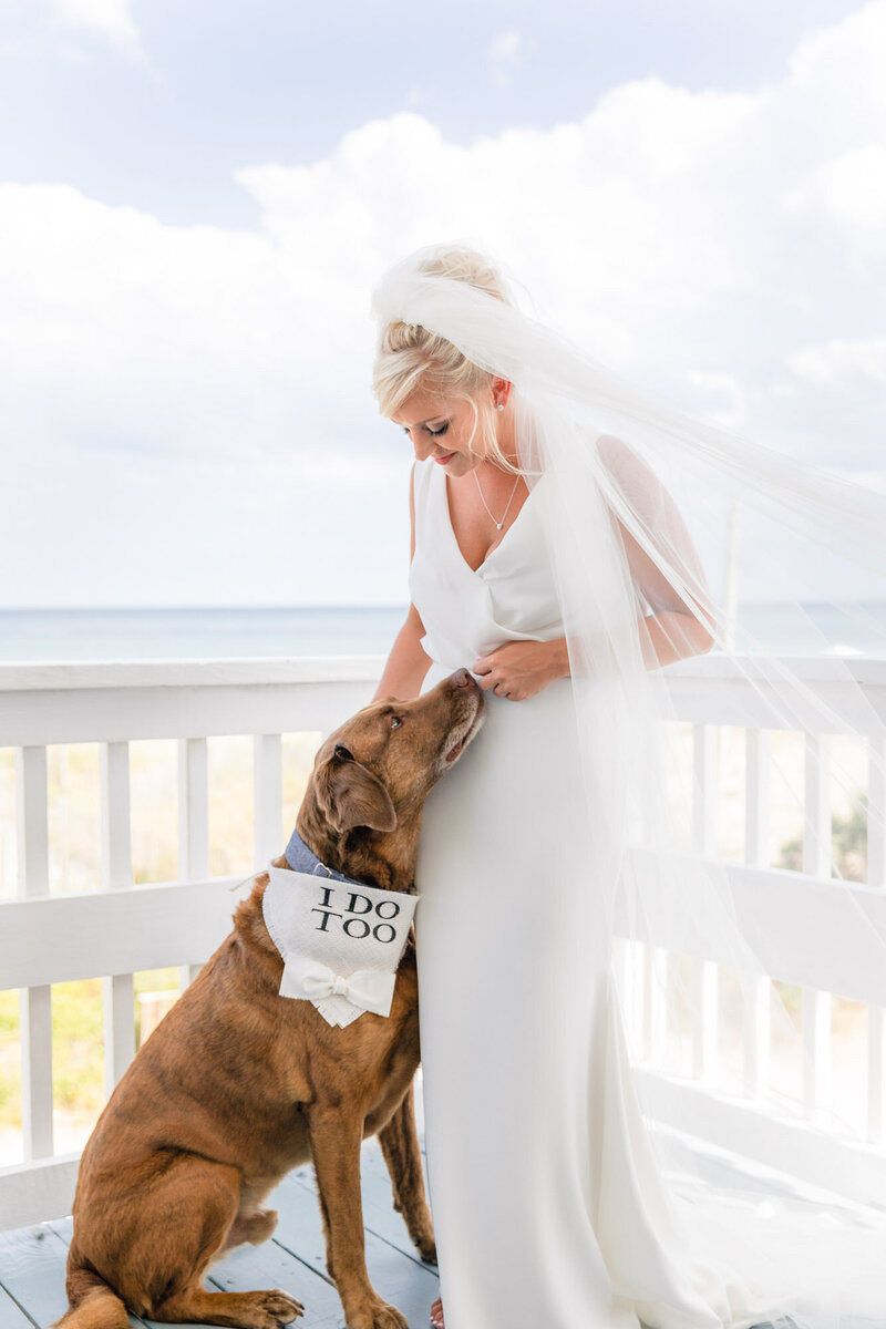 "Bride in her wedding dress feeding her dog a treat on Wrightsville beach"