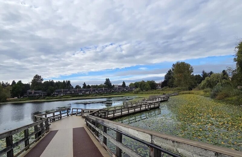 Abbotsford Counselling | Raw Collective 