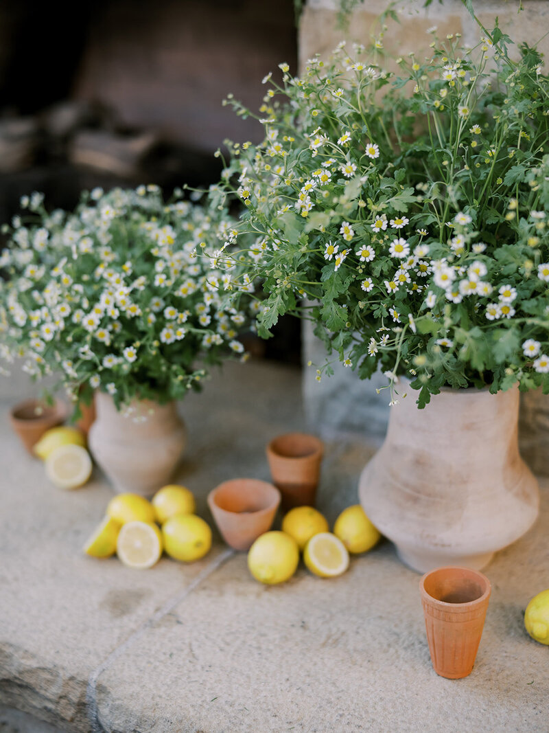 San Ysidro Ranch Wedding Planner