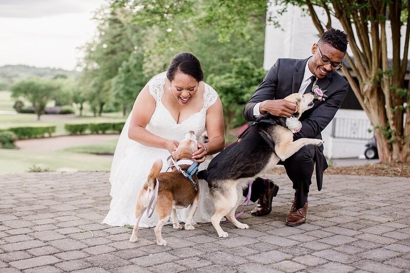couple and dogs by Knoxville Wedding Photographer, Amanda May Photos