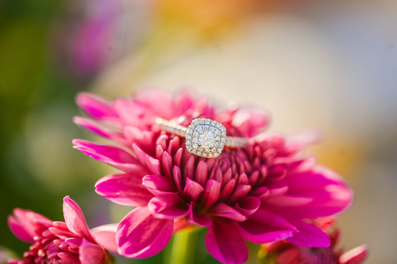 merrycharacters_engagement-21
