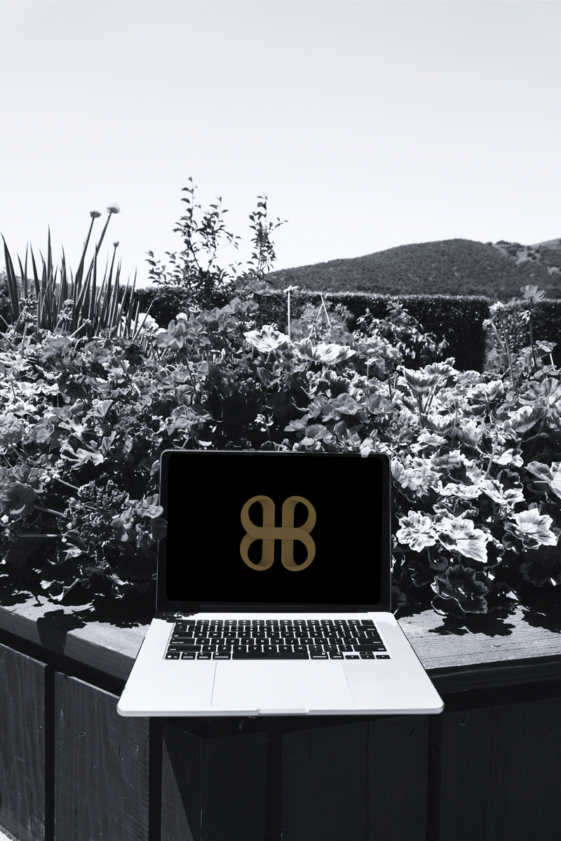 About - Big Bow Solutions