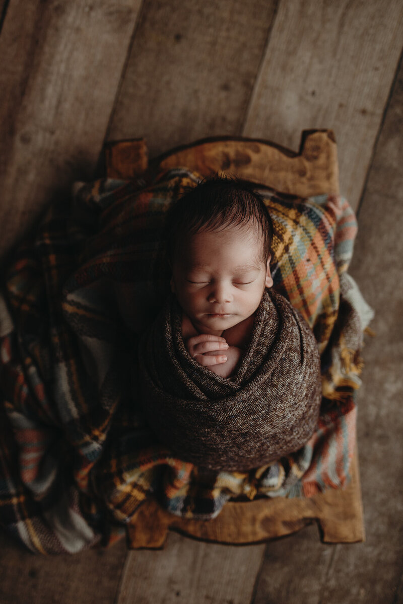 fall baby pics