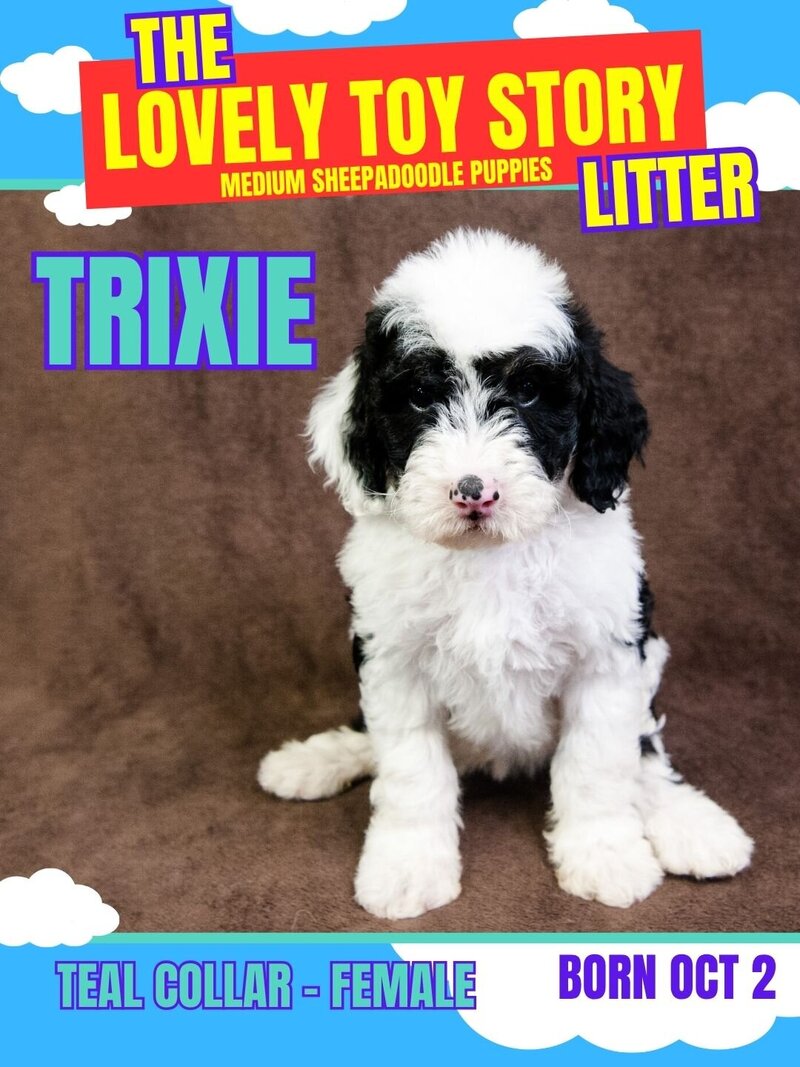 Toy Story - Teal Trixie Female