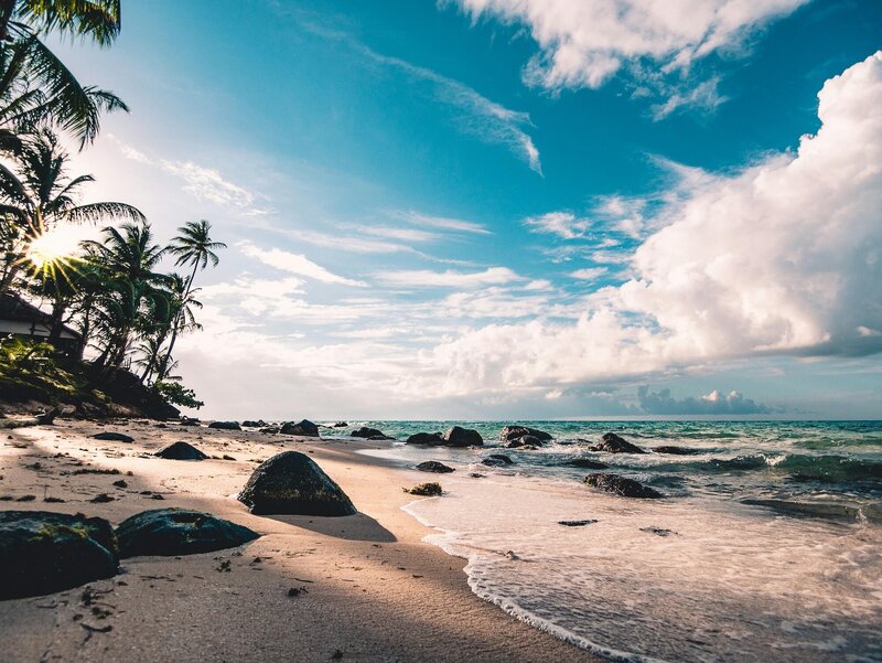 Beach with rocks and palm trees