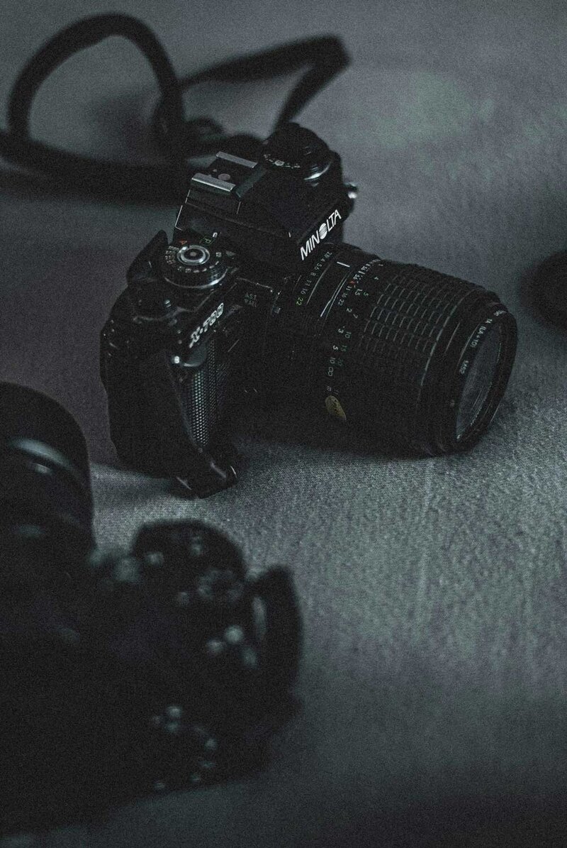 lisa-amann-ejBG0lArsvw-unsplash_smaller