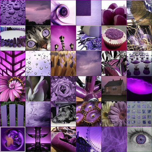 ColorTherapy_Purple