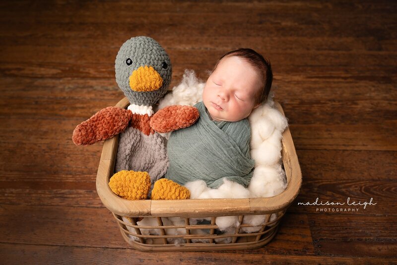 MLF08912-Edit_websize