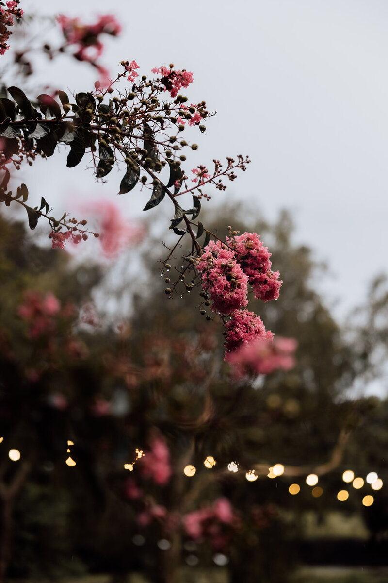 Ash & Luke _ Sneak Peeks-53