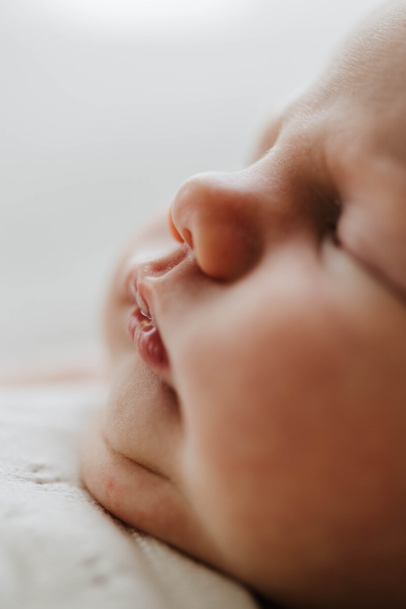 Kentucky Studio Newborn Photographer