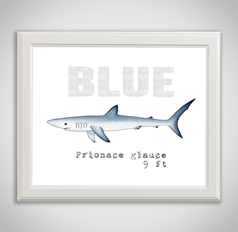 blue-framed