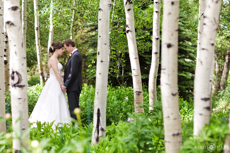 Stunning aspen tree scenery for a couple snuggling on their wedding day at Yampa River Botanic Park