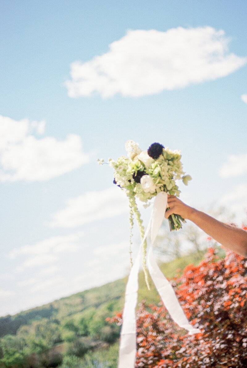 Virginia-Spring-Intimate-Wedding-Estate-at-River-Run-on-35mm-Film-9
