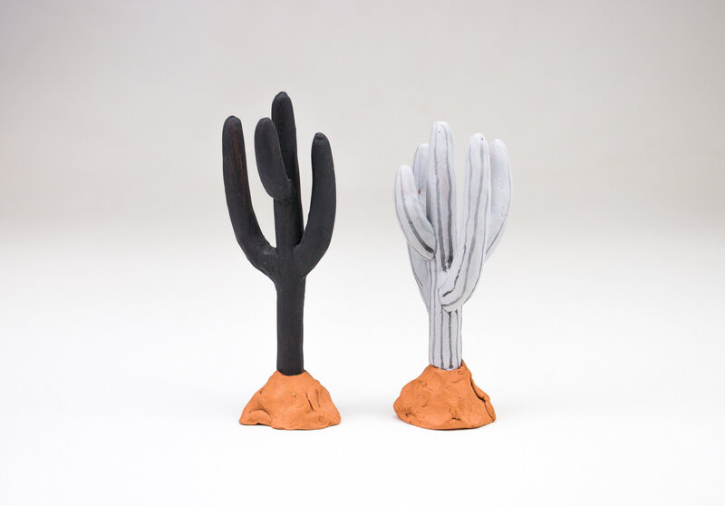 saguaro-4