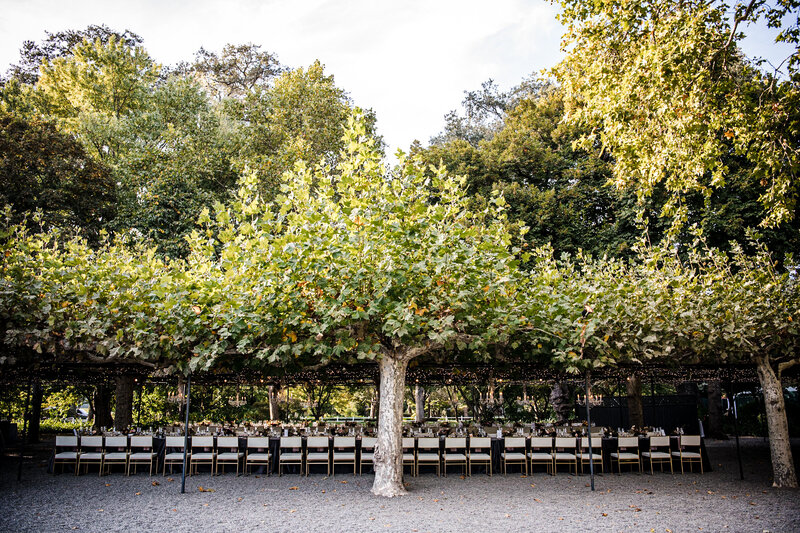 Napa Wedding Photography at Beaulieu Garden by Napa Wedding Photographer Duy Ho