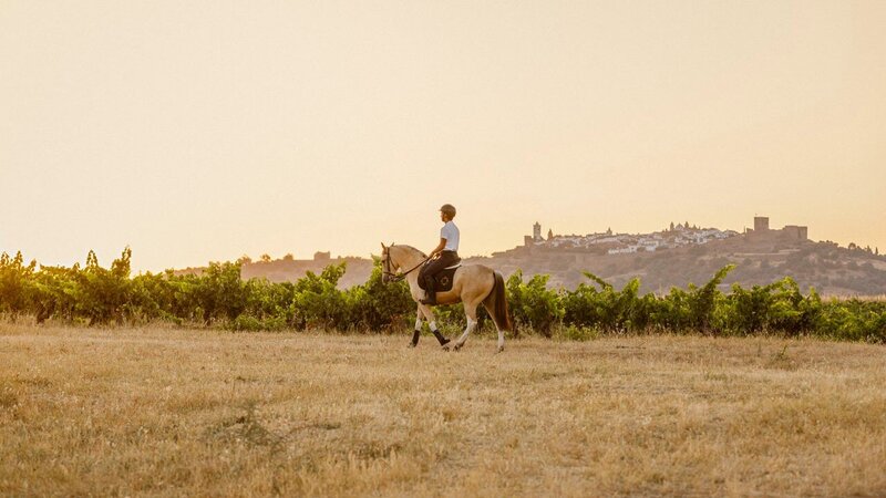 Horse riding vacation excursion in Barrocal, Portugal