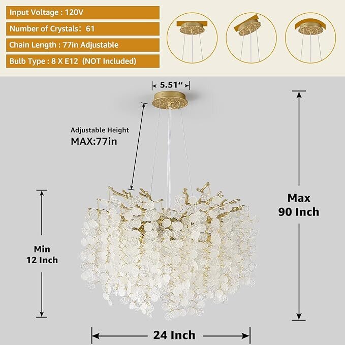 71P+mdulW9L._AC_SX679_