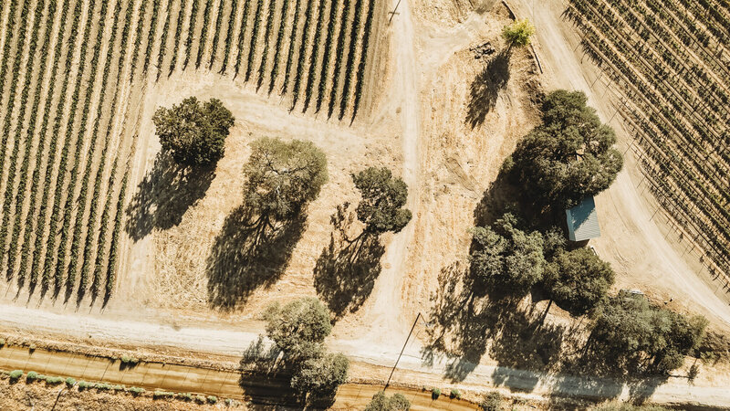 dji_fly_20250921_085036_0033_1758471015428_photo-2048x1152
