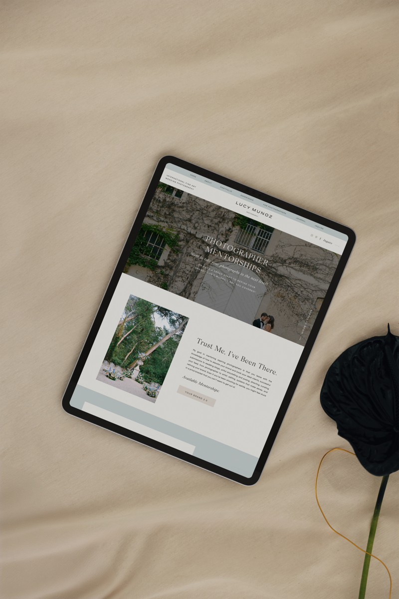 custom-branding-and-showit-website-design-11