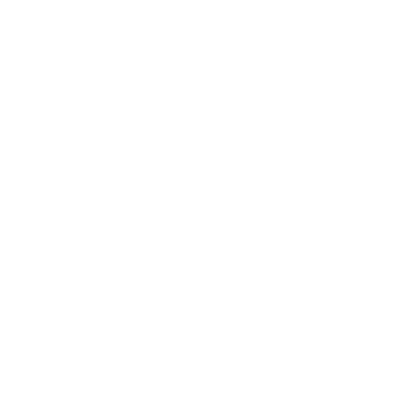 Dancers Studio main logo, Ballroom and Latin Dance Private Lessons and Group Classes