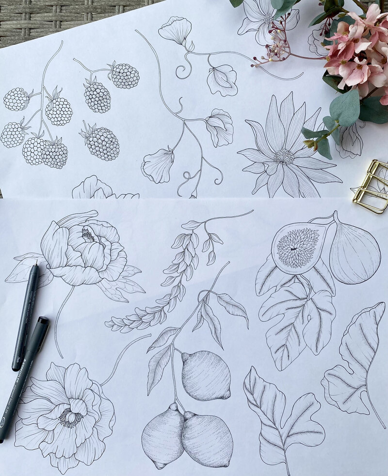 drawing 1