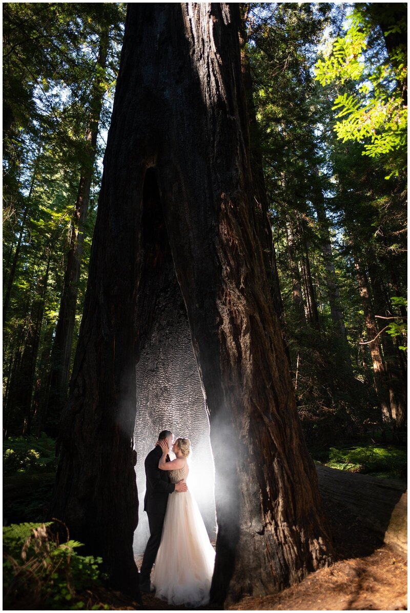 Magical engagement photo of a couple in the Redwoods in Northern California