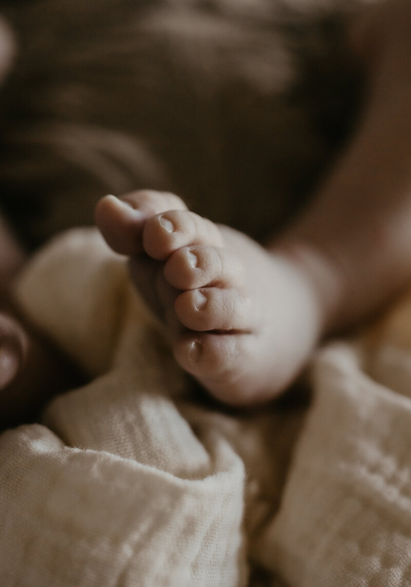 rex newborn2