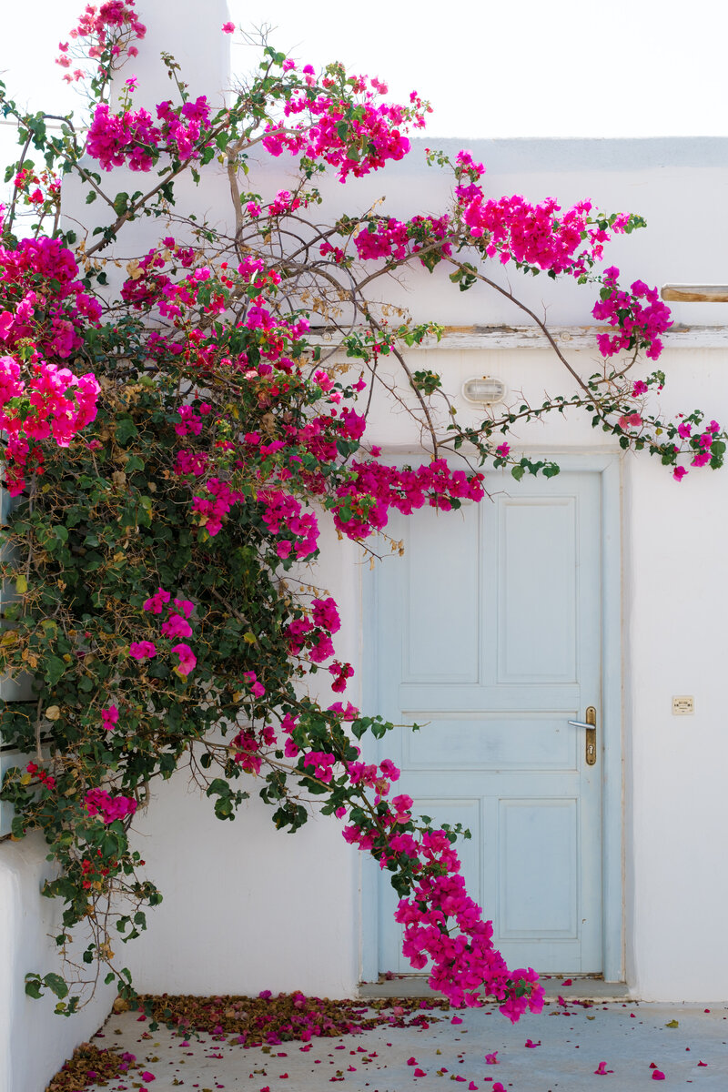 details at a destination island wedding on Paros, Greece